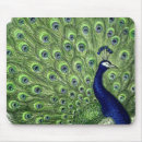 Recherche de joli oiseau tapis souris Jolie