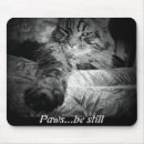 Recherche de mousepad drôle chat tapis souris Friend