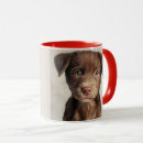 Recherche de fossé tasses Dog