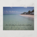 Recherche de le cuba invitations Tropical