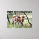 Zoek naar texas longhorn kunst Longhorns