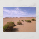 Recherche de gobi cartes postales Désert