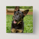 Zoek naar duitse herders buttons Schattig