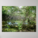 Zoek naar verwarring posters Bos