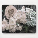 Recherche de oeillet tapis souris Rose