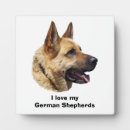 Recherche de allemand plaques Chiot