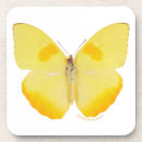 Recherche de photos papillons de dessous de verres Photographie de nature