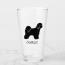 Recherche de tibétain maison deco Animaux domestiques
