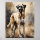 Recherche de chien de berger posters Pour tous