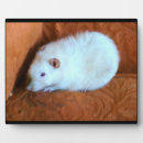 Recherche de boule plaques Pour tous