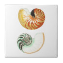 Recherche de shell carreaux Aquatique