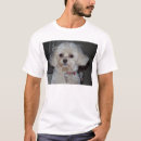 Recherche de domestiqué vêtements Chien