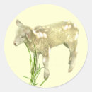 Recherche de agneau autocollants Animaux