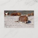 Recherche de cheval sauvage cartes visite Nature