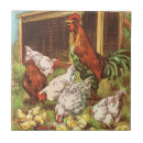 Recherche de poule carreaux En céramique