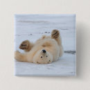 Recherche de ursus badges Faune