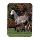 Recherche de pour fonctionner même magnets Fonctionnement