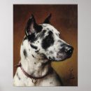 Zoek naar carl kunst Hond