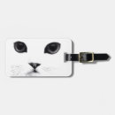Recherche de chaton noir et blanc accessoires Minou