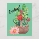 Recherche de cactus cartes postales Lune