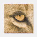 Recherche de parc national de kruger magnets L'afrique