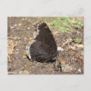 Recherche de mois cartes postales Jolie