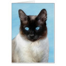 Zoek naar siamese notitiekaarten Schattig