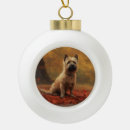 Recherche de terrier de cairn ornements Animal de compagnie