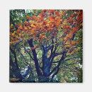 Recherche de industrie photographie Arbre