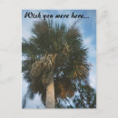 Zoek naar wish you were here briefkaarten Wensen