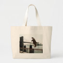 Recherche de sauvez l sacs Humour