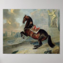 Recherche de cheval espagnol art Équestre