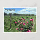 Recherche de mendoza cartes postales Andes