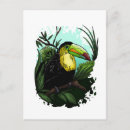 Recherche de forêt tropicale tropicale cartes postales Animaux