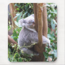 Recherche de koala tapis souris L'australie