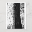 Recherche de boise cartes postales Arbre