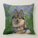 Recherche de spitz nain coussins Position