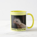 Recherche de canaris tasses Mignon