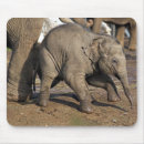 Recherche de éléphant bébé tapis souris Mignon