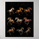 Recherche de race de cheval Silhouette