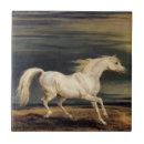 Recherche de cheval blanc carreaux Équestre