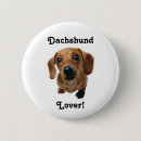 Recherche de teckels badges Doxie