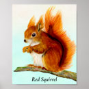 Recherche de écureuil rouge posters Faune