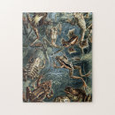 Recherche de amphibien puzzles Crapaud
