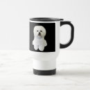 Recherche de bichons tasses Frise de bichon