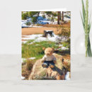 Recherche de animaux sauvages vœux cartes Ours