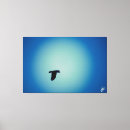 Recherche de projecteur art Oiseau
