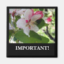 Recherche de flore refrigérateur magnets Plantes
