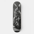 Recherche de bunny skateboards Animal