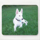 Recherche de alsacien tapis souris Allemand